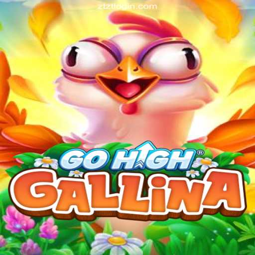 The Exciting World of GoHighGallina